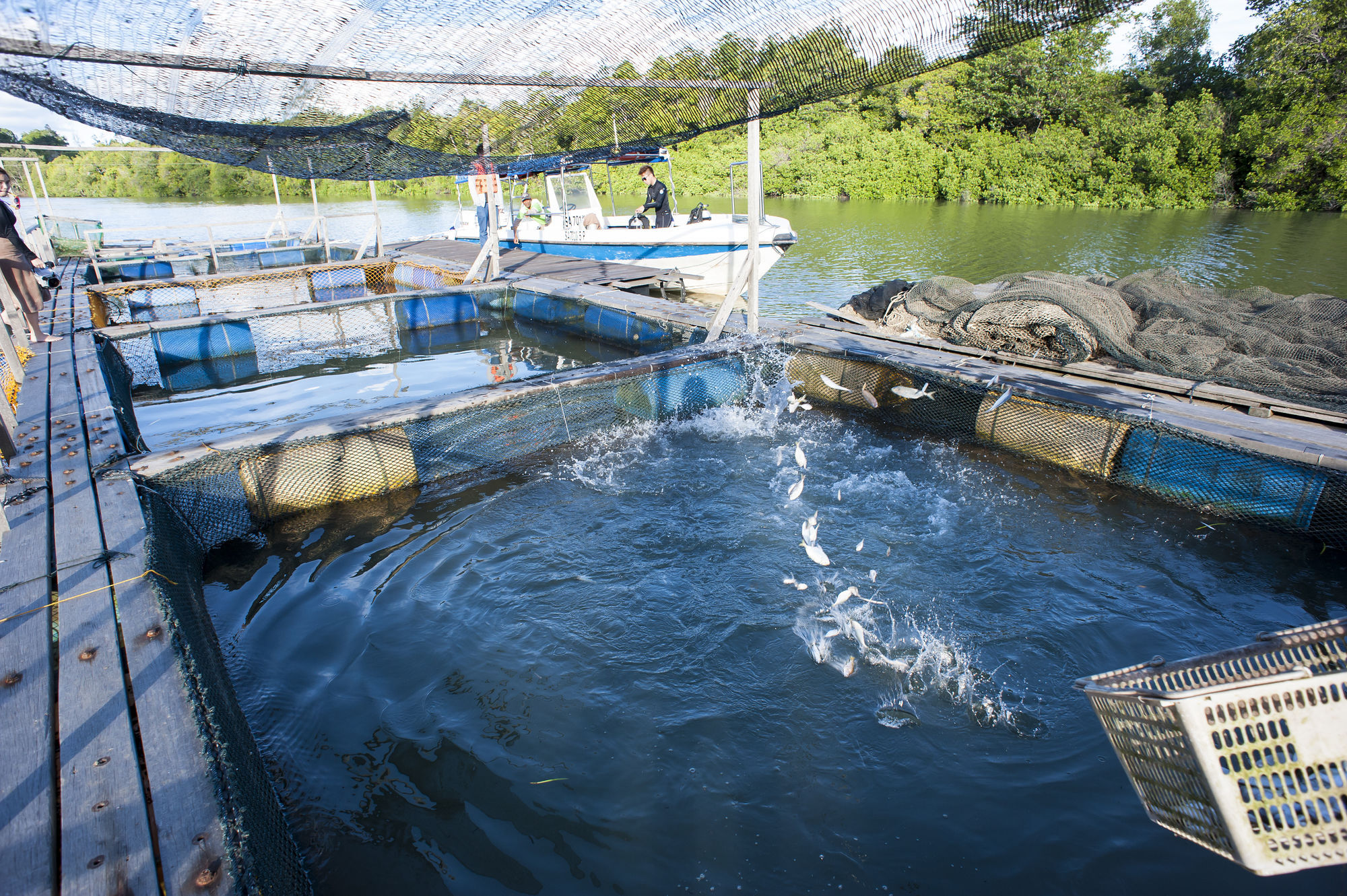 Sipadan Mangrove Resort Tawau Zewnętrze zdjęcie