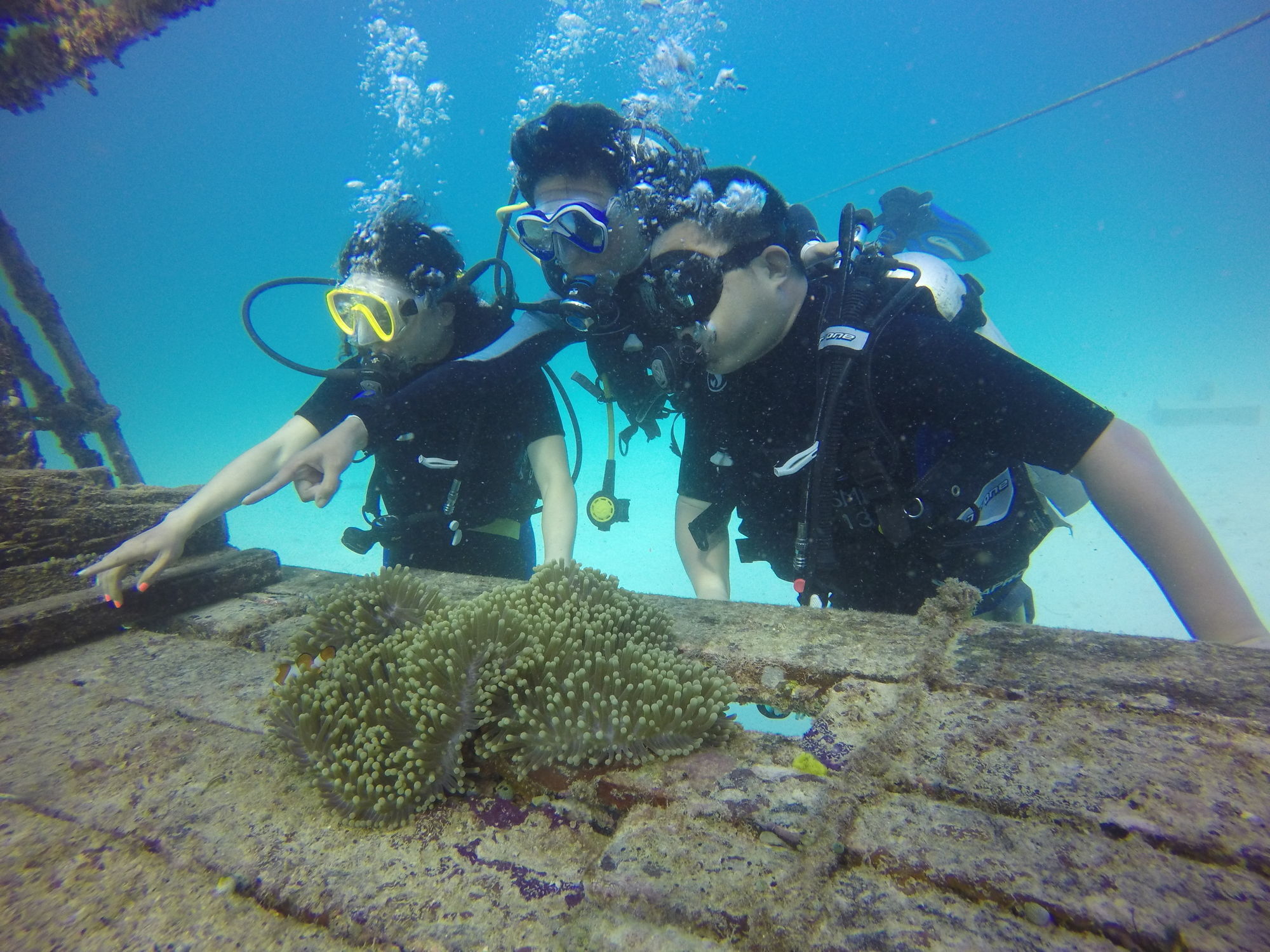 Sipadan Mangrove Resort Tawau Zewnętrze zdjęcie