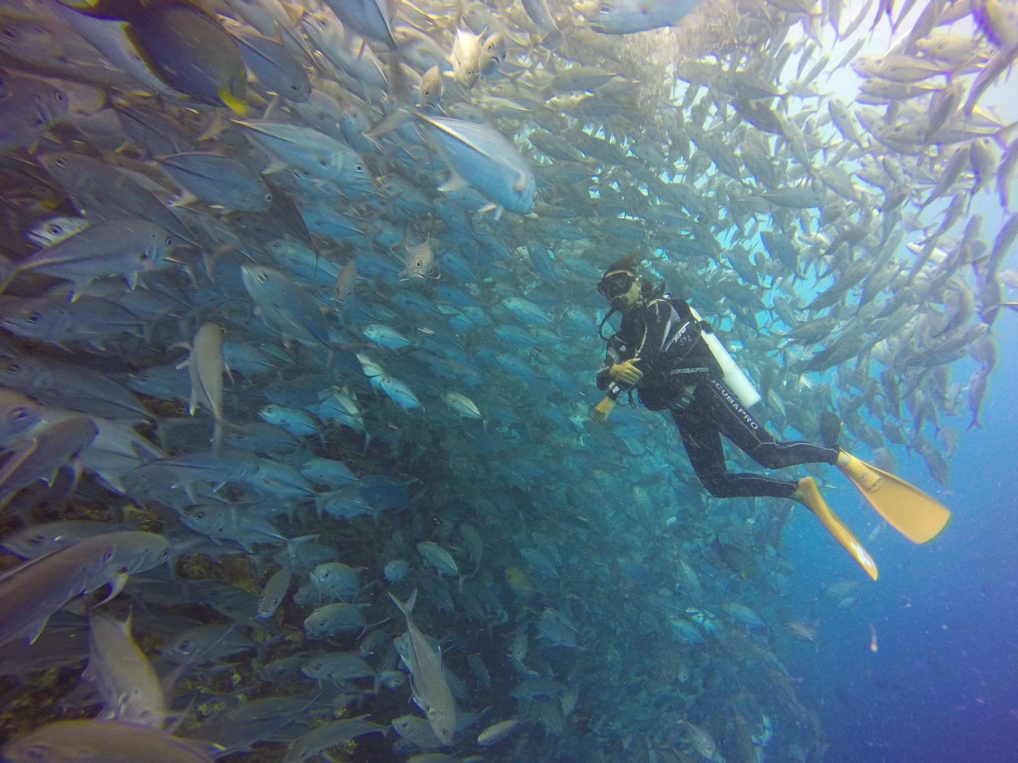 Sipadan Mangrove Resort Tawau Zewnętrze zdjęcie